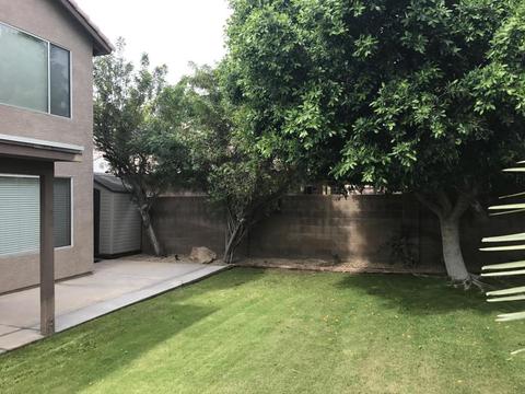 4120 E Coolbrook Ave, Phoenix, AZ 85032 photo 36