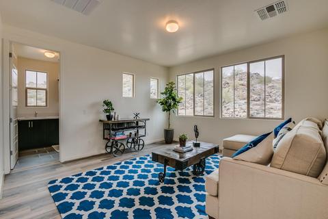 9916 S 3rd Ave, Phoenix, AZ 85041 photo 53