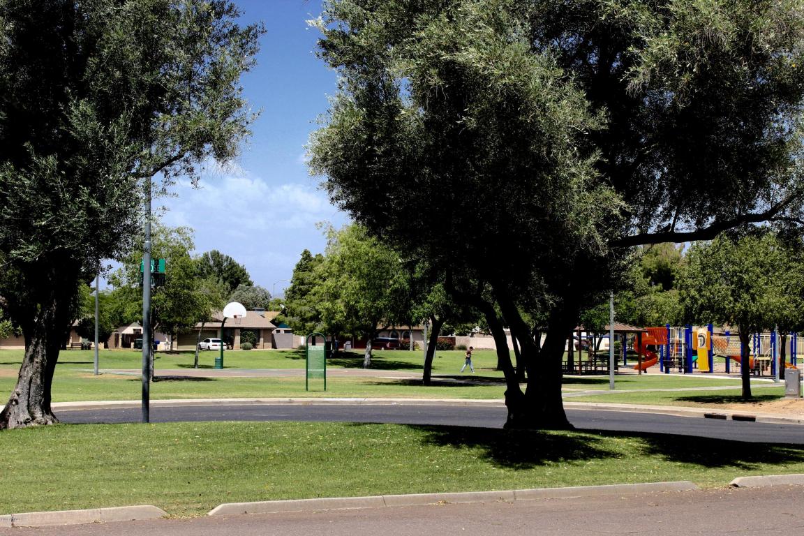 2111 E Farmdale Ave, Mesa, AZ 85204 photo 33