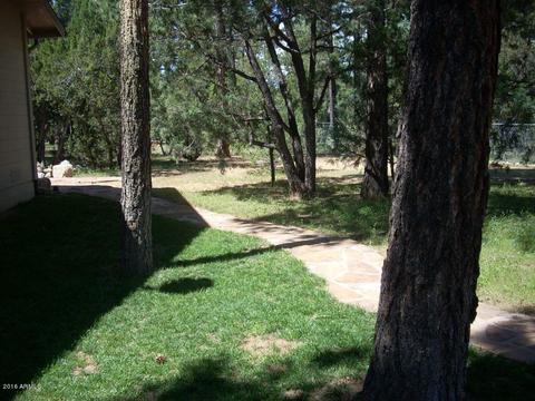 2862 Cedar Rdg, Overgaard, AZ 85933 photo 6