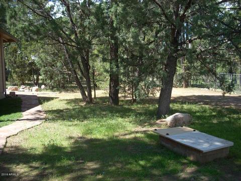2862 Cedar Rdg, Overgaard, AZ 85933 photo 7