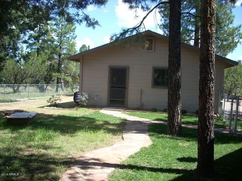 2862 Cedar Rdg, Overgaard, AZ 85933 photo 8