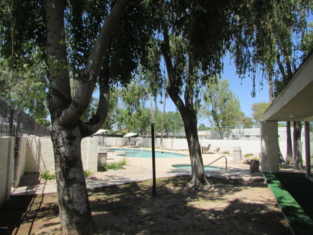 2514 E 5th Pl, Tempe, AZ 85288 photo 12