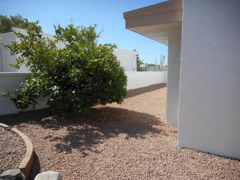 1302 E Winged Foot Rd, Phoenix, AZ 85022 photo 16
