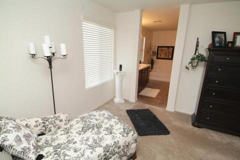 10015 E Impala Ave, Mesa, AZ 85209 photo 50