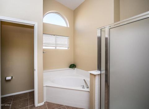 9110 Emerald Dr, Sun Lakes, AZ 85248 photo 20
