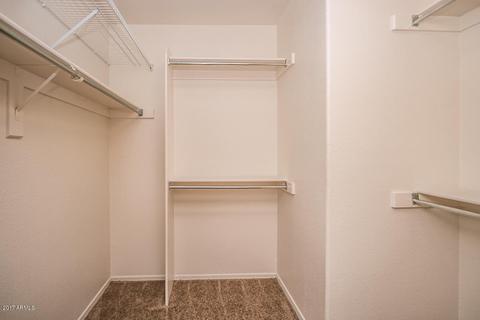 9110 Emerald Dr, Sun Lakes, AZ 85248 photo 19