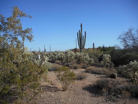 5070 N Desert View Dr, Apache Junction, AZ 85120 photo 40