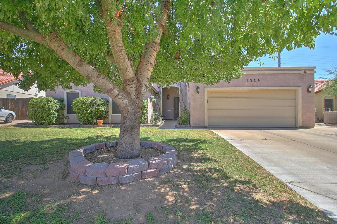1315 E Rosemonte Dr, Phoenix, AZ 85024 photo 1