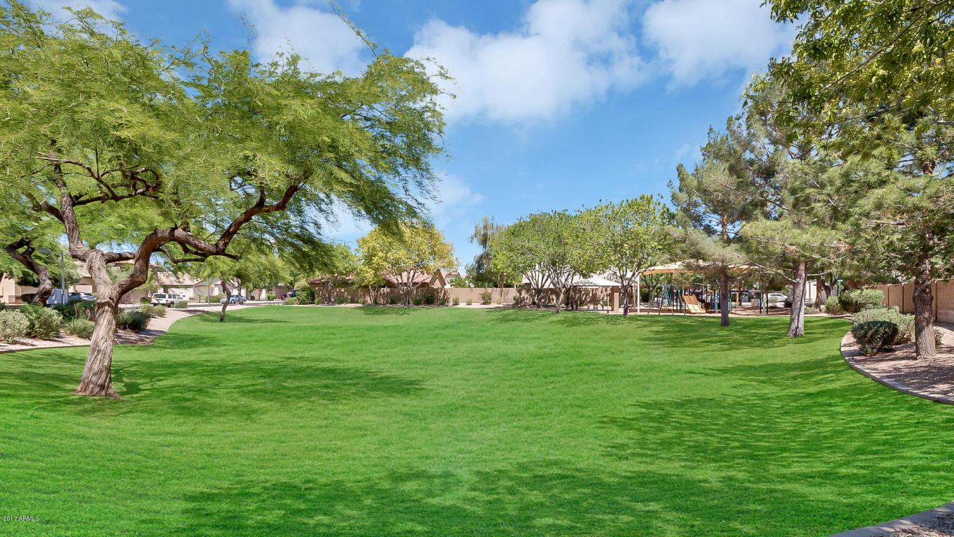 1793 E Milky Way, Gilbert, AZ 85295 photo 29