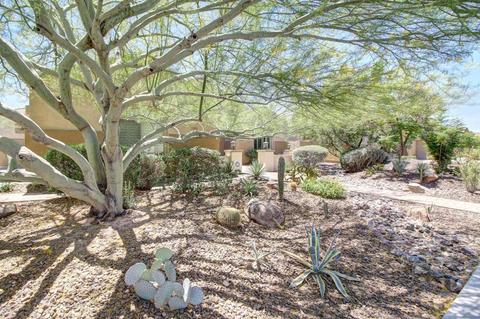 4923 W Range Mule Dr, Phoenix, AZ 85083 photo 2