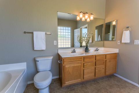 1317 E Pedro Rd, Phoenix, AZ 85042 photo 23