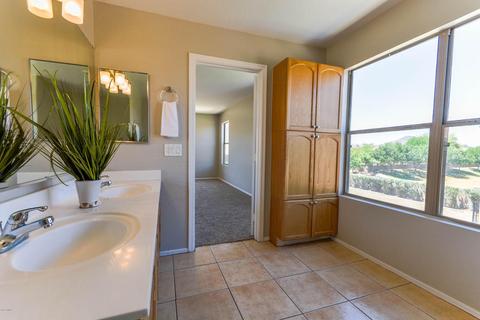 1317 E Pedro Rd, Phoenix, AZ 85042 photo 39