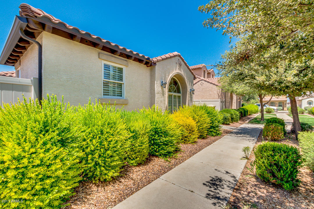 1141 S Wade Dr, Gilbert, AZ 85296 photo 3