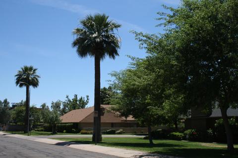 2045 E Pasadena Ave, Phoenix, AZ 85016 photo 17