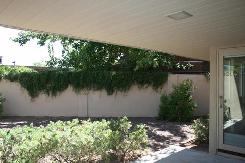 2045 E Pasadena Ave, Phoenix, AZ 85016 photo 22