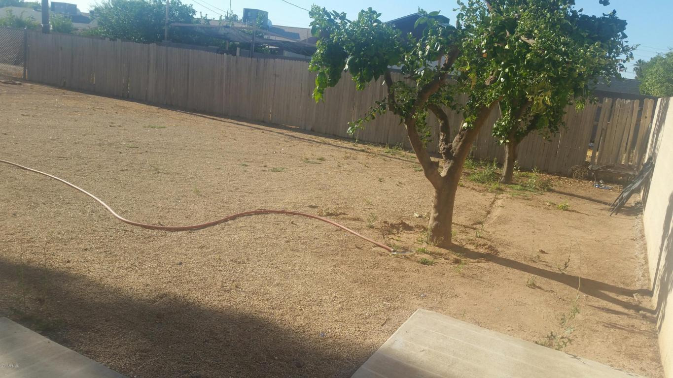 854 E 11th Ave, Mesa, AZ 85204 photo 7