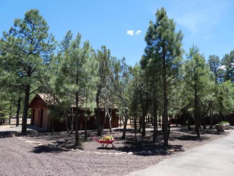 3021 Aspen Rd, Overgaard, AZ 85933 photo 24