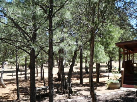 3021 Aspen Rd, Overgaard, AZ 85933 photo 27