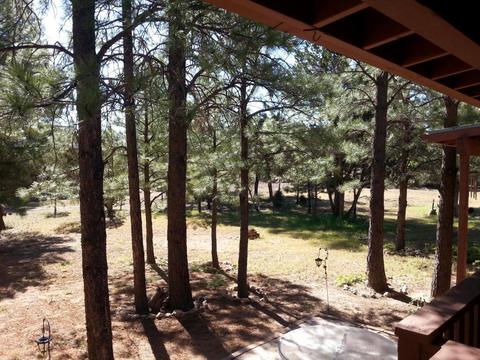 3021 Aspen Rd, Overgaard, AZ 85933 photo 4