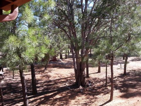 3021 Aspen Rd, Overgaard, AZ 85933 photo 5