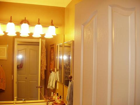 11246 E Renfield Ave, Mesa, AZ 85212 photo 16