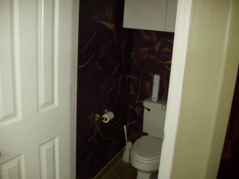 11246 E Renfield Ave, Mesa, AZ 85212 photo 35