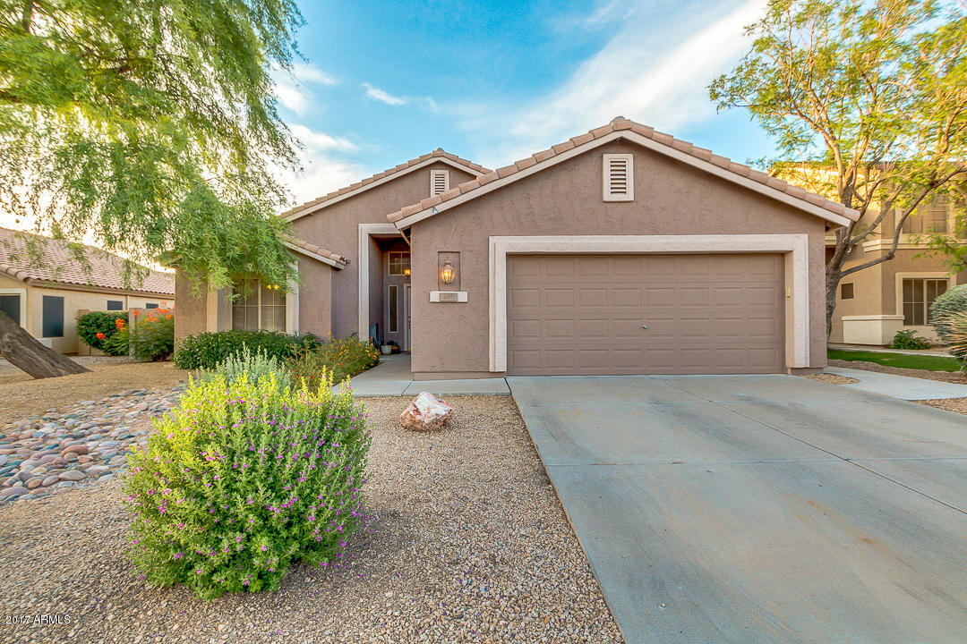 244 E Laredo Ave, Gilbert, AZ 85296 photo 4