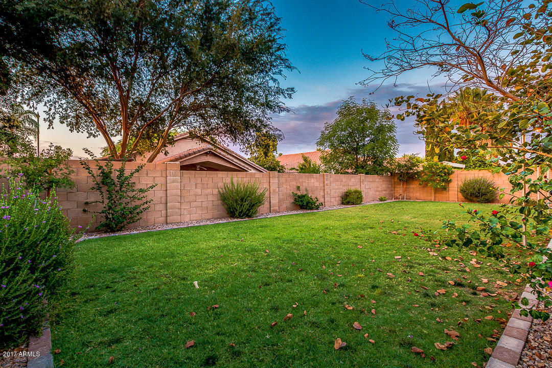 244 E Laredo Ave, Gilbert, AZ 85296 photo 24
