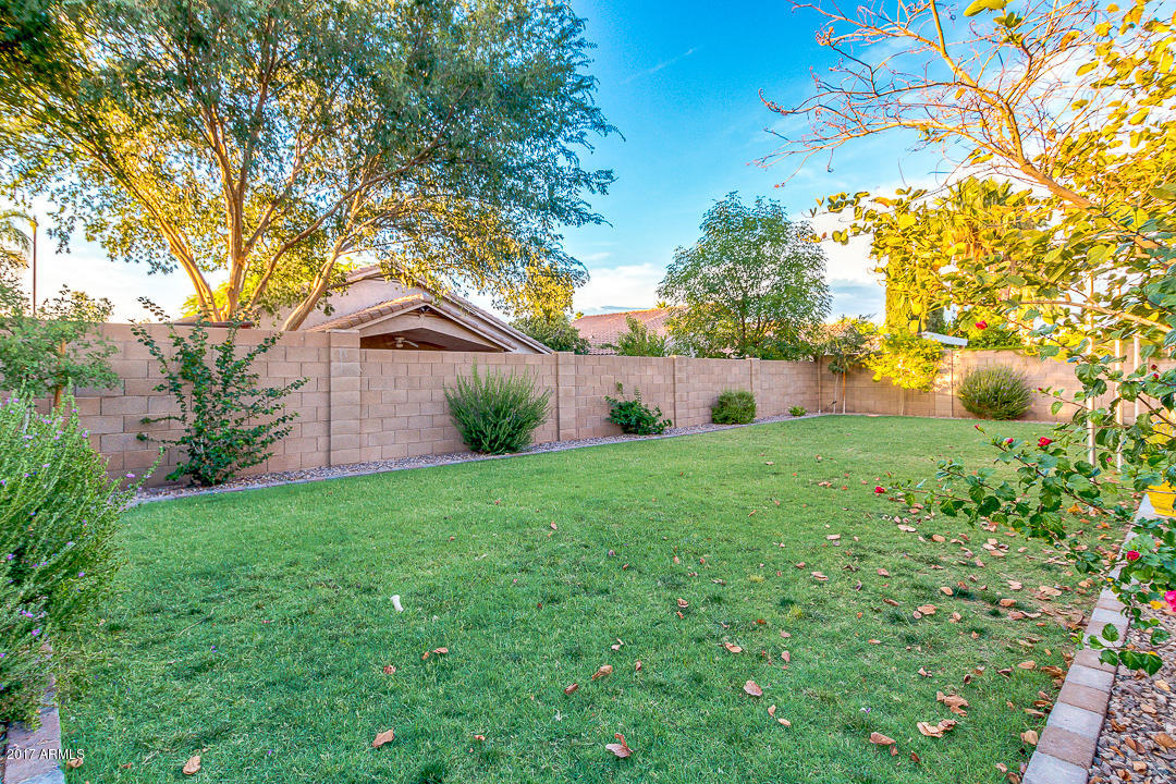 244 E Laredo Ave, Gilbert, AZ 85296 photo 29