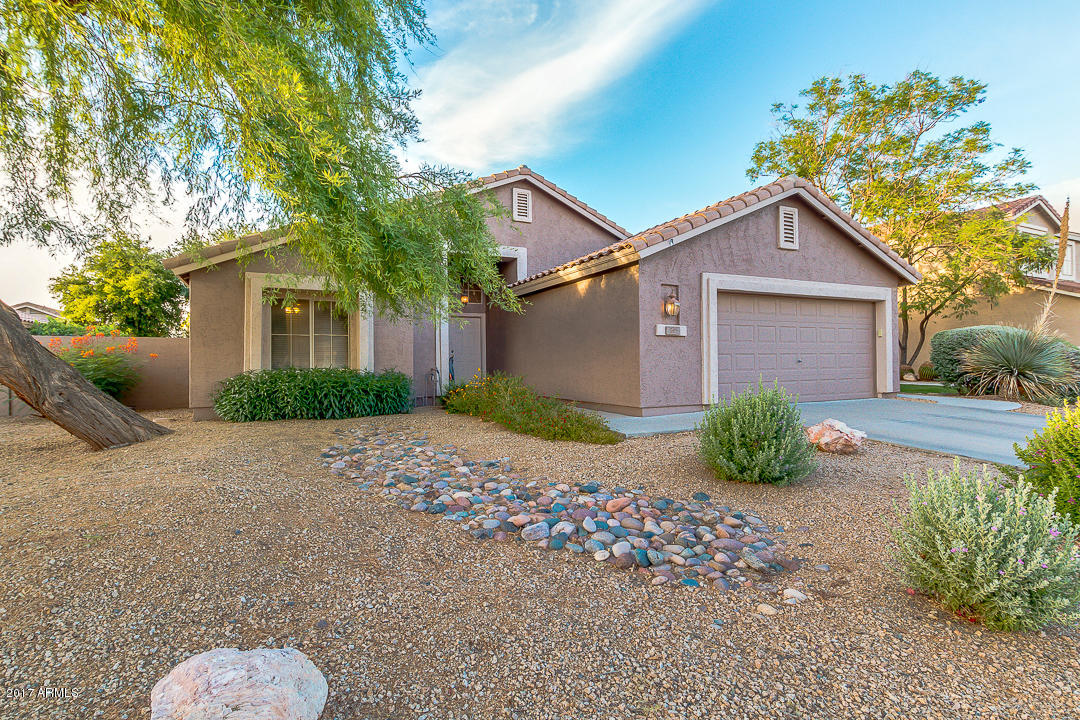 244 E Laredo Ave, Gilbert, AZ 85296 photo 3