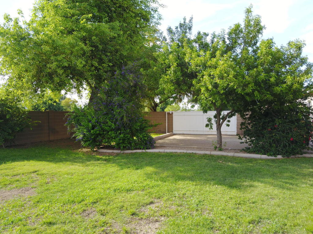 1741 S 142nd St, Gilbert, AZ 85295 photo 74