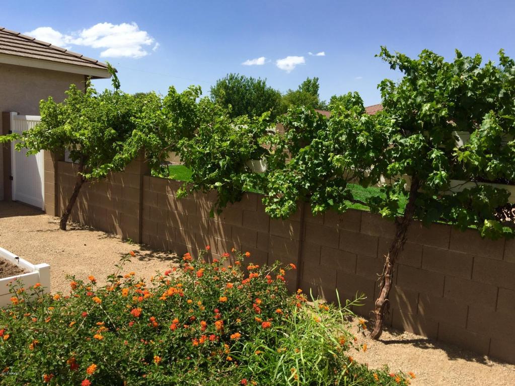 1741 S 142nd St, Gilbert, AZ 85295 photo 66