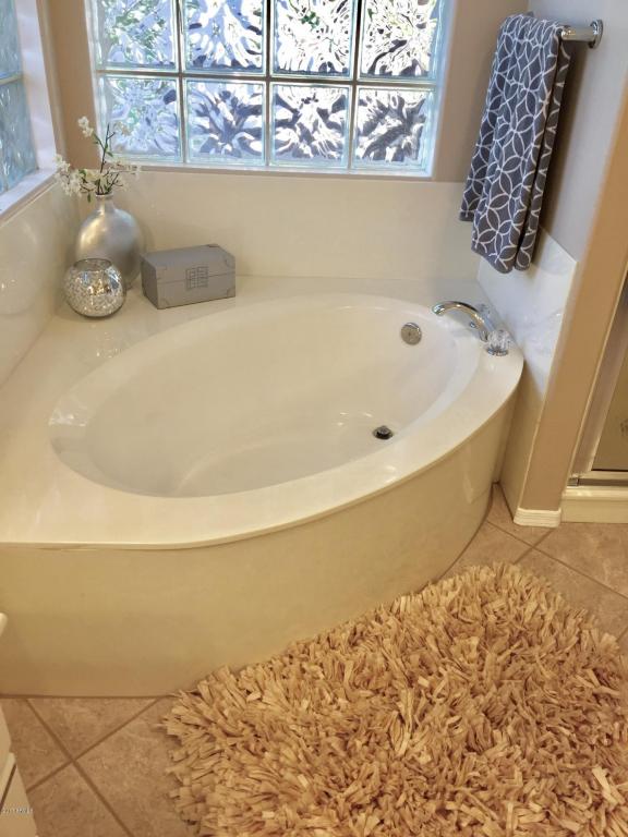 1741 S 142nd St, Gilbert, AZ 85295 photo 48