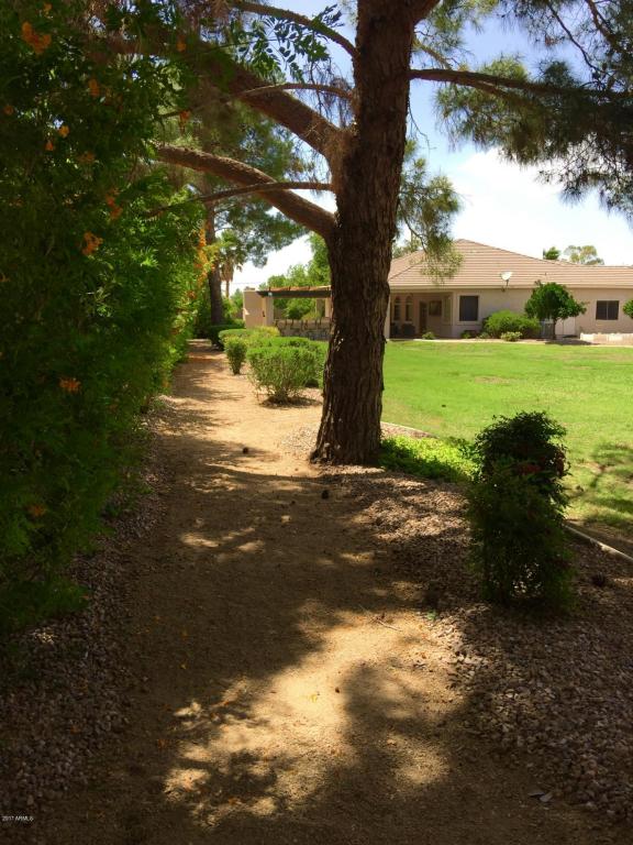 1741 S 142nd St, Gilbert, AZ 85295 photo 69