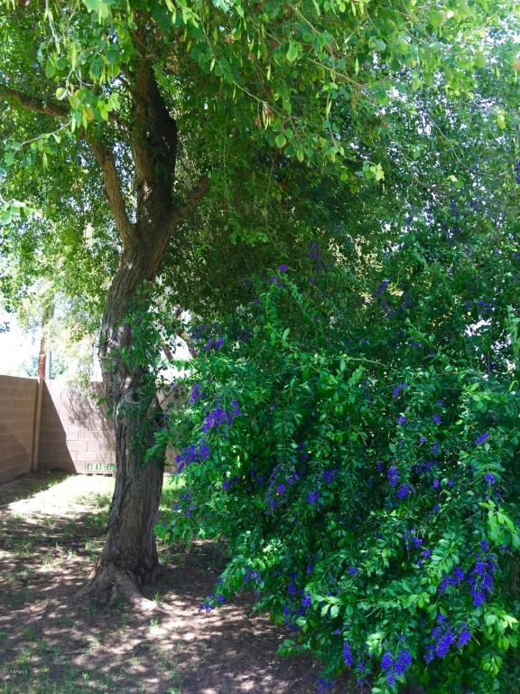1741 S 142nd St, Gilbert, AZ 85295 photo 65