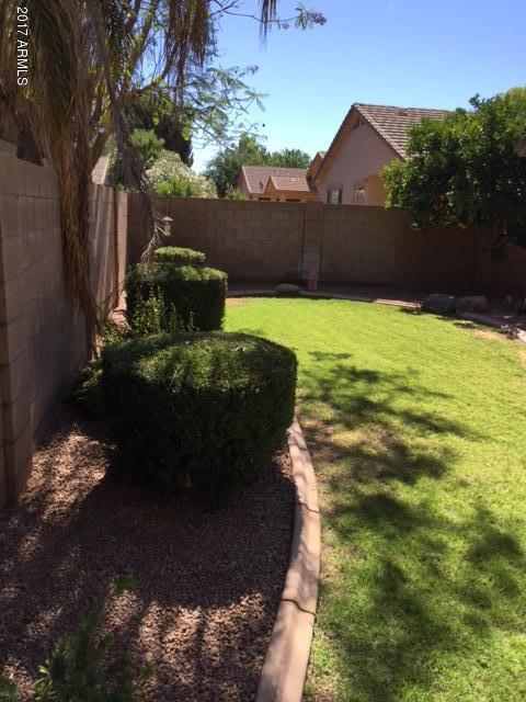 3554 E Park Ave, Gilbert, AZ 85234 photo 13