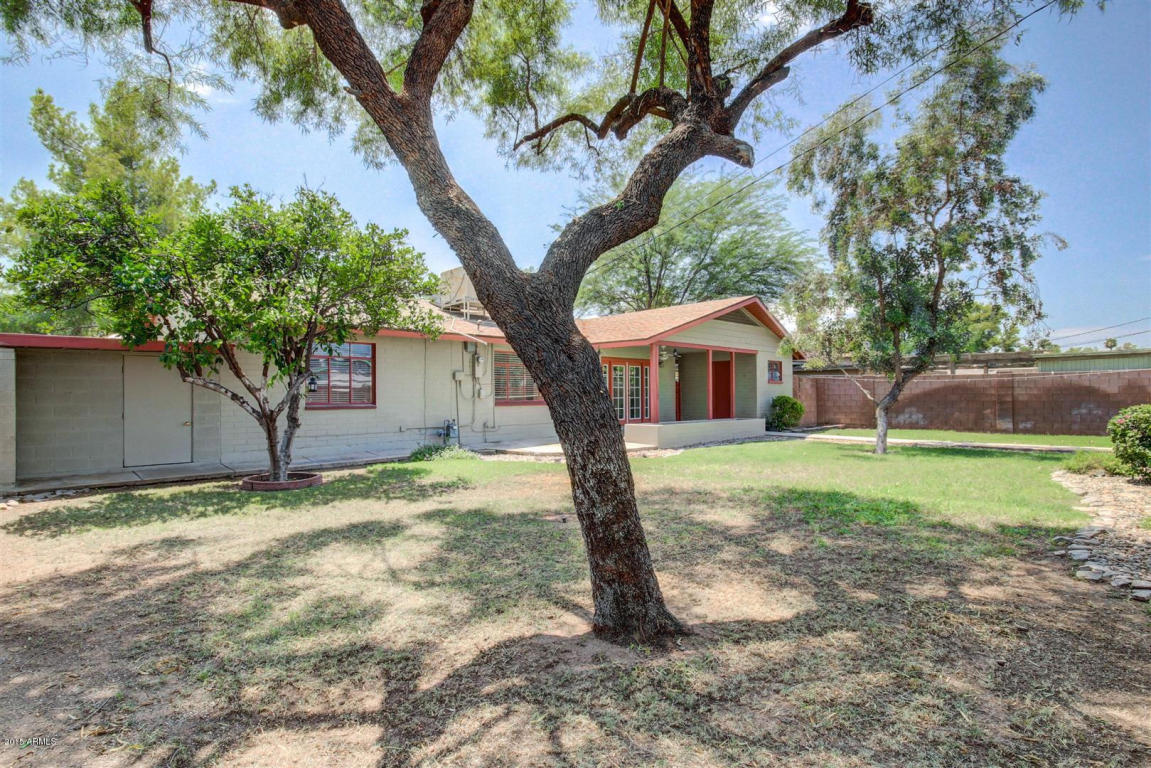 702 Encanto Dr, Tempe, AZ 85281 photo 26