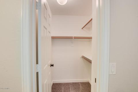 9766 E Monte Ave, Mesa, AZ 85209 photo 46