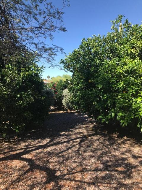 5415 E Duncan St, Mesa, AZ 85205 photo 16