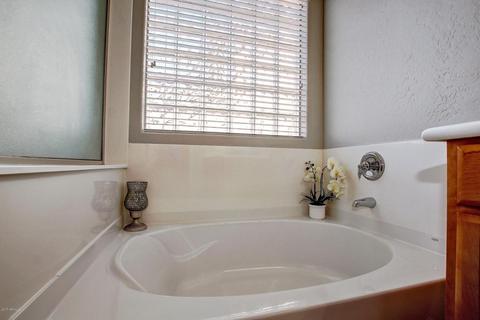3736 E Andre Ave, Gilbert, AZ 85298 photo 19