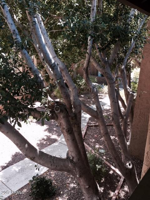 3825 E Camelback Rd #204, Phoenix, AZ 85018 photo 23