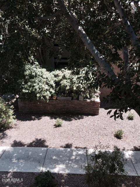 3825 E Camelback Rd #204, Phoenix, AZ 85018 photo 22