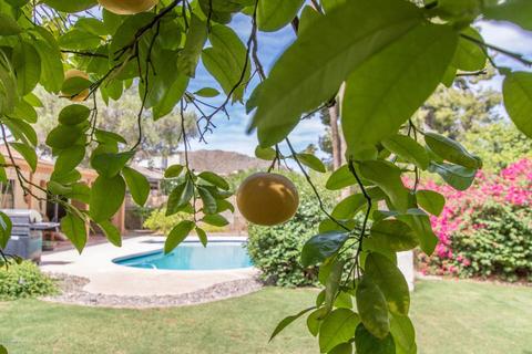 2348 E Sahuaro Dr, Phoenix, AZ 85028 photo 23