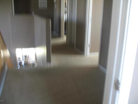 3911 E Cloudburst Dr, Gilbert, AZ 85297 photo 6