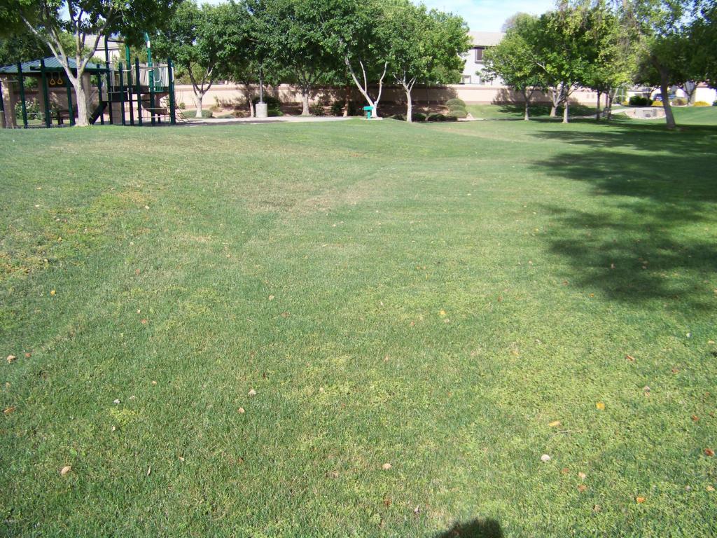 1905 E Los Alamos St, Gilbert, AZ 85295 photo 34