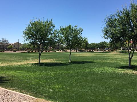 3636 E Constitution Dr, Gilbert, AZ 85296 photo 13
