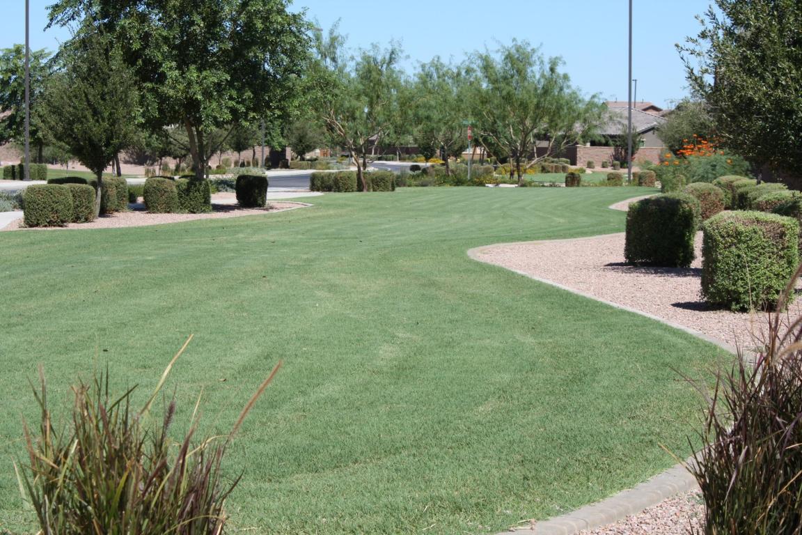 2442 E Plum St, Gilbert, AZ 85298 photo 35