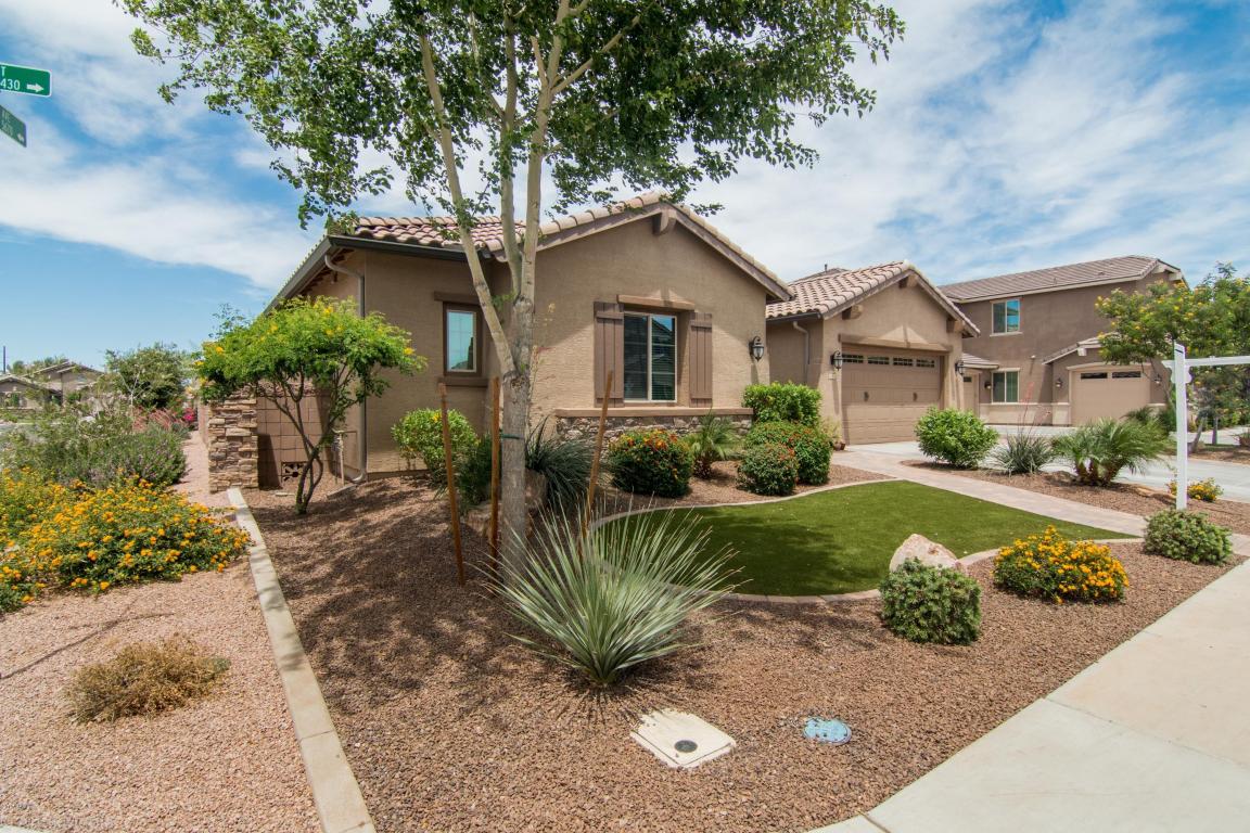 2442 E Plum St, Gilbert, AZ 85298 photo 9