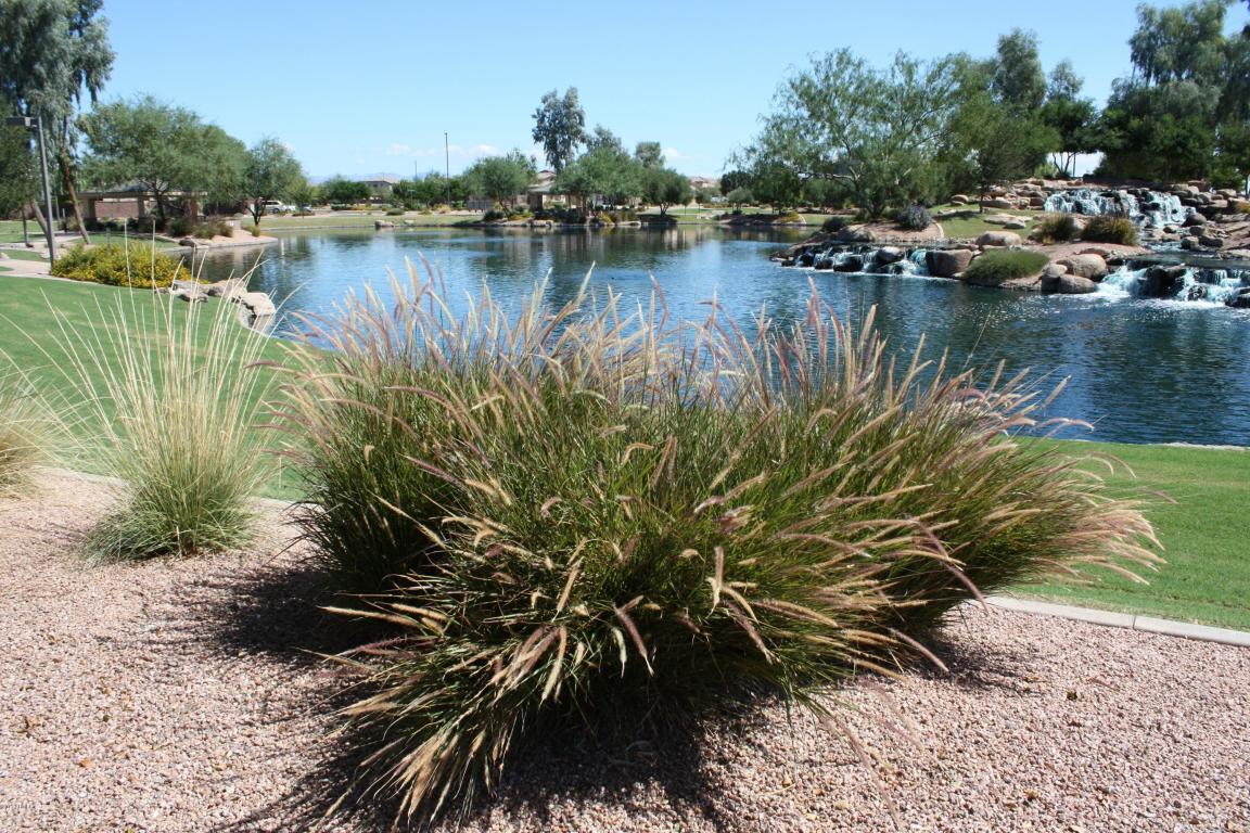 2442 E Plum St, Gilbert, AZ 85298 photo 29